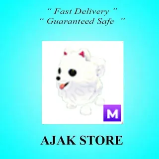 M Samoyed