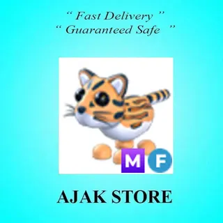MF Ocelot
