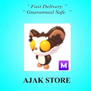 M Aye Aye