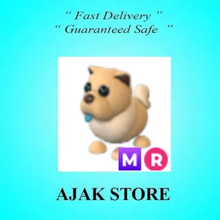 MR Tan Chow Chow