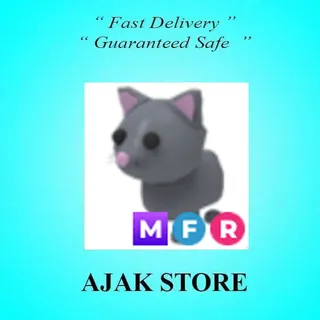 MFR Cat