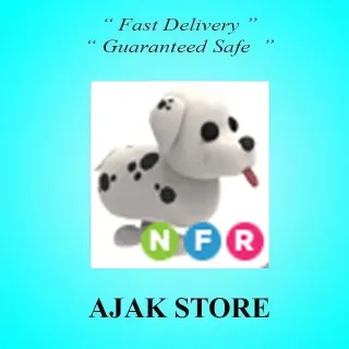 NFR Dalmatian