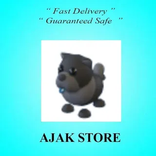 Black Chow Chow