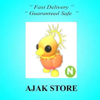 N Sunrise Duckling