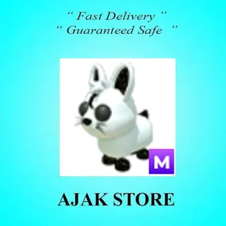 M Moon Rabbit