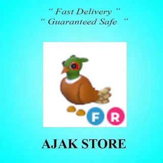 FR Brown Chested Pheasant