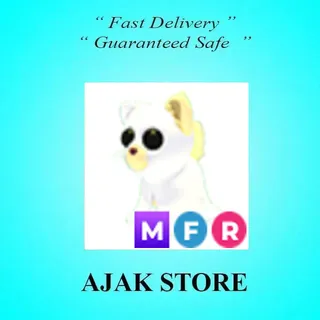 MFR Ghostly Cat