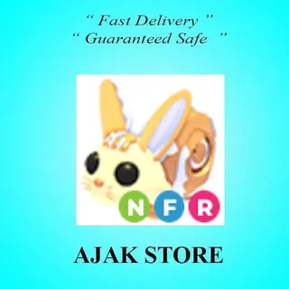 NFR Bunny Swirl
