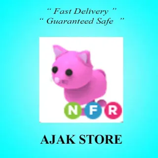 NFR Pink Cat