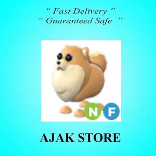 NF Pomeranian