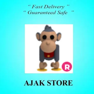 R Toy Monkey