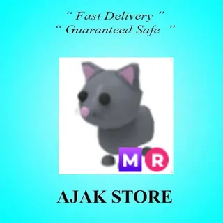 MR Cat