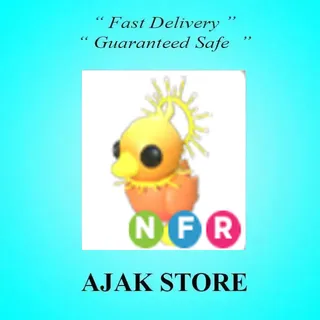 NFR Sunrise Duckling