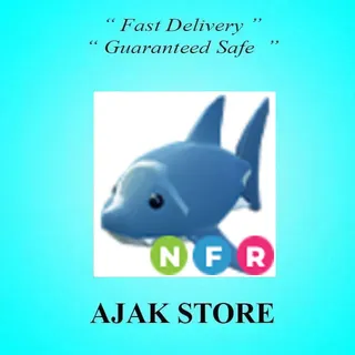 NFR Shark