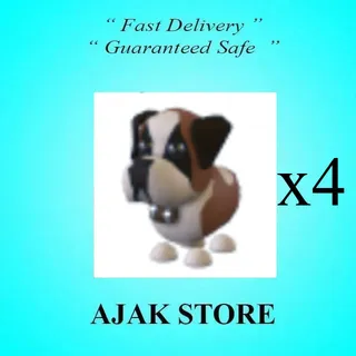 x4 St Bernard