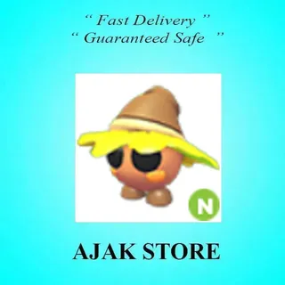 N Oakee Wizard