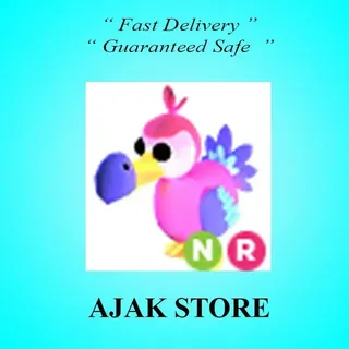 NR Dodo