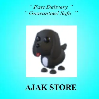 Royal Palace Spaniel