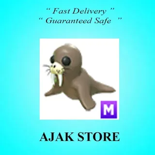 M Walrus