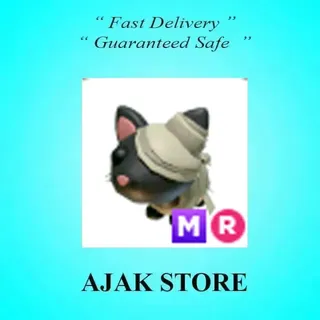 MR Halloween Black Mummy Cat