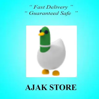 Silly Duck 