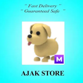 M Dog