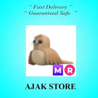 MR Galapagos Sea Lion