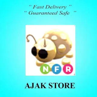 NFR Golden Ladybug