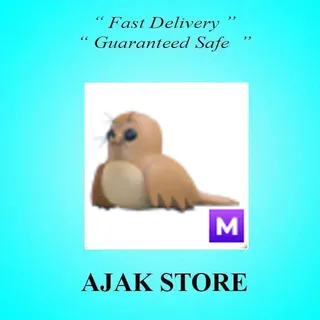 M Galapagos Sea Lion