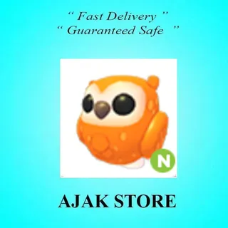 N Clementine Owl