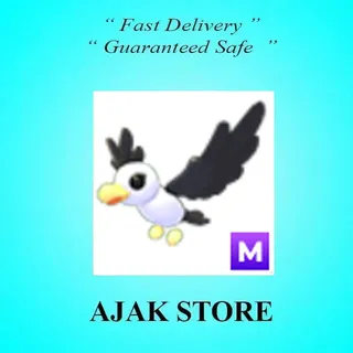 M Pilot Gull