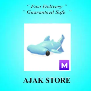 M Hammerhead Shark
