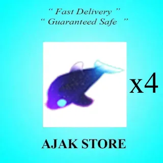 x4 Glormy Dolphin