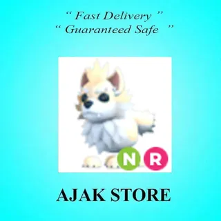 NR Dire Wolf
