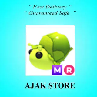 MR Sprout Snail