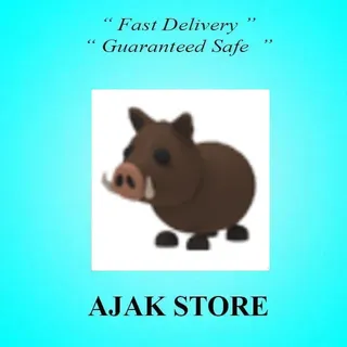 Wild Boar
