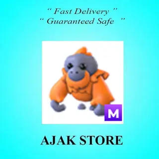 M Orangutan