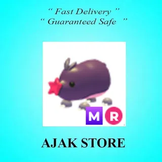 MR Mole