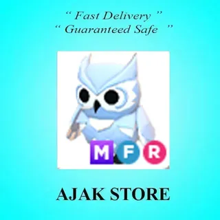 MFR Snow Owl