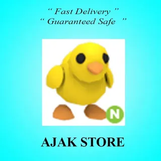 N Chick