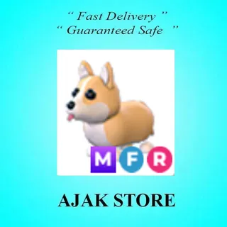 MFR Corgi