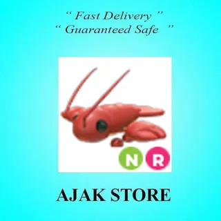 NR Lobster