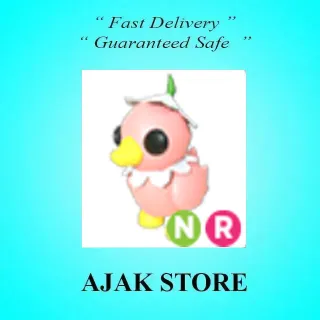 NR Flower Power Duckling