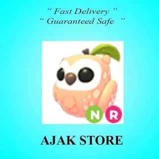NR Peach Owl
