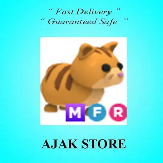MFR Ginger Cat