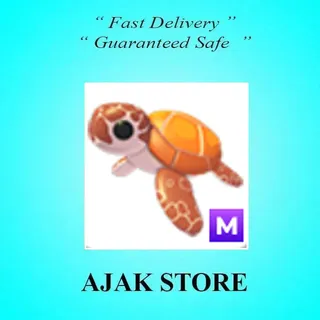 M Sea Turtle