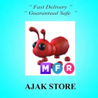 MFR Ant
