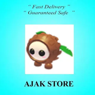 Coconut Friend