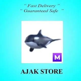M Orca