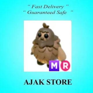 MR Sasquatch